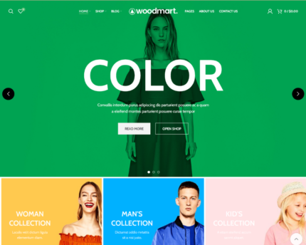Fashion Color Wordpress Theme